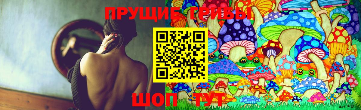 Галлюциногенные грибы Psilocybine cubensis Омск